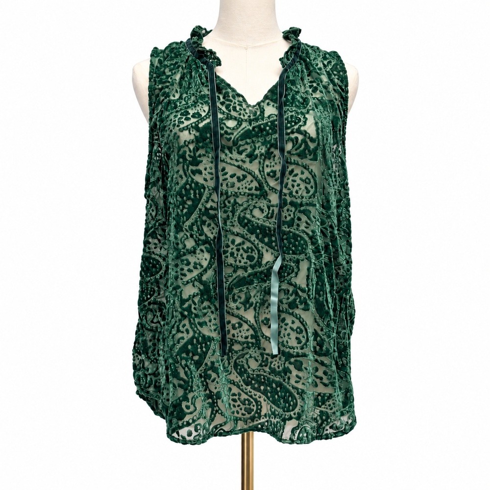 Velvet Burnout Paisley Tunic Emerald Green Ruffle S Whimsigoth Fairycore Goth